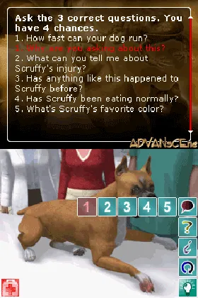 Pet Pals - Animal Doctor (USA) screen shot game playing